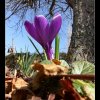 20120322_018